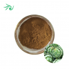 Artichoke Extract Powder