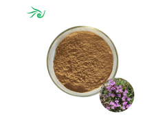 Thyme Extract