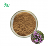 Thyme Extract