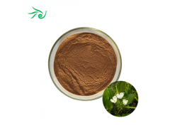 Rhizoma Alismatis Extract