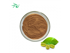 Pure Green Coffee Bean Extract Powder