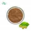 Pure Green Coffee Bean Extract Powder