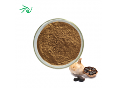 Black Garlic Extract Powder 5% Allicin