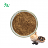 Black Garlic Extract Powder 5% Allicin