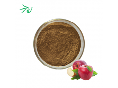 Apple Extract Powder