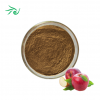 Apple Extract Powder